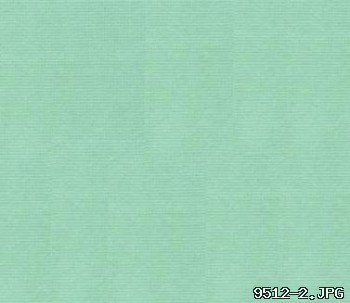 LVAS1017