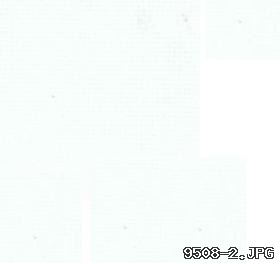 LVAS1013