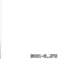 6001-2
