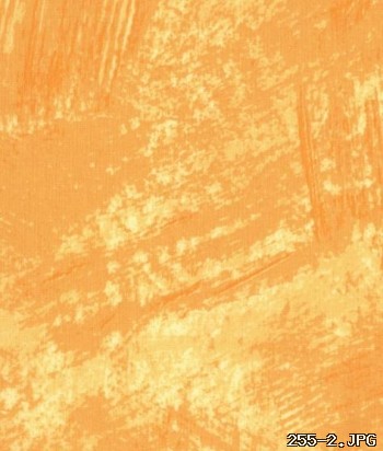 255-2