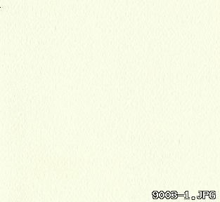 9003-1