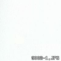 9002-1