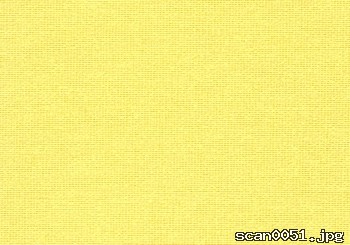RENS 0051-1